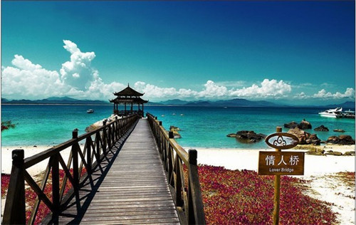 口口香愤怒大鱿鱼