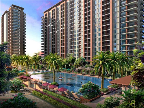 猫爪舞蹈加盟费多少