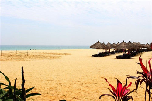 成县创业西梅加盟高人气品牌店推荐